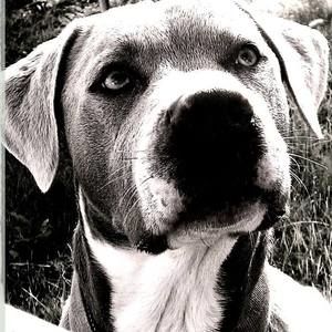 Meet your Posher, Douglas